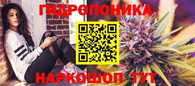 дмт Ярославль