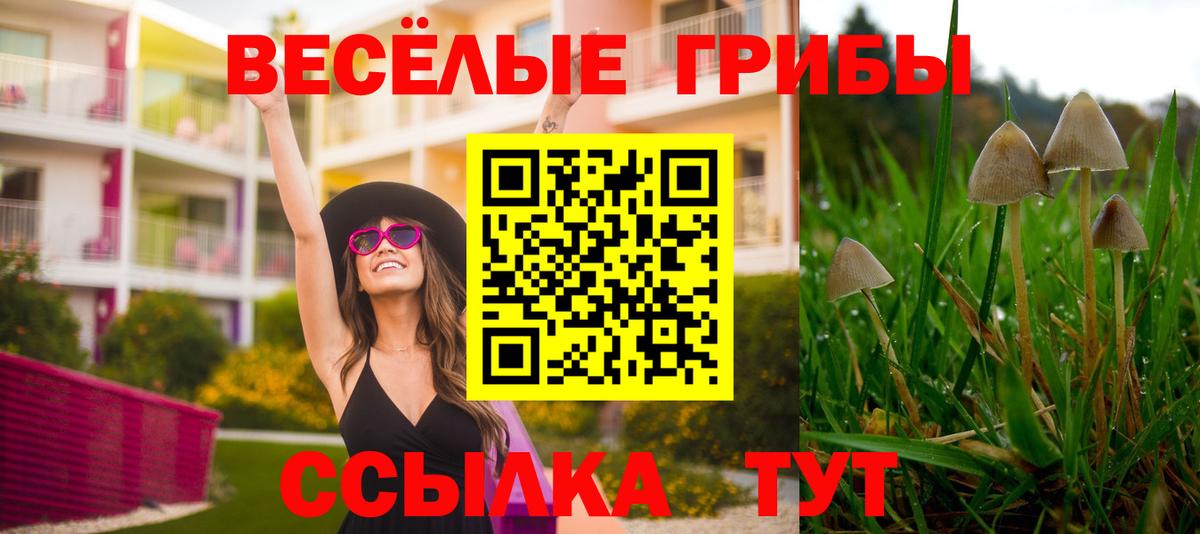 Псилоцибиновые грибы мухоморы Кандалакша